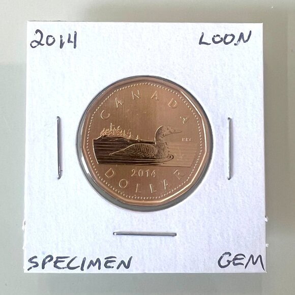 2014, 2014, 2015 and 2015 Canada Special Edition Specimen $1 Dollar Loonies! - Picture 3 of 10